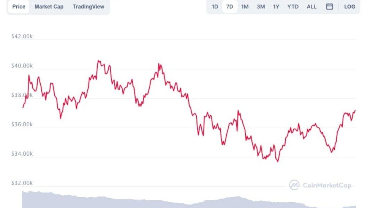 Bitcoin ou CDB? Saiba qual aplicação rendeu mais esse ano!