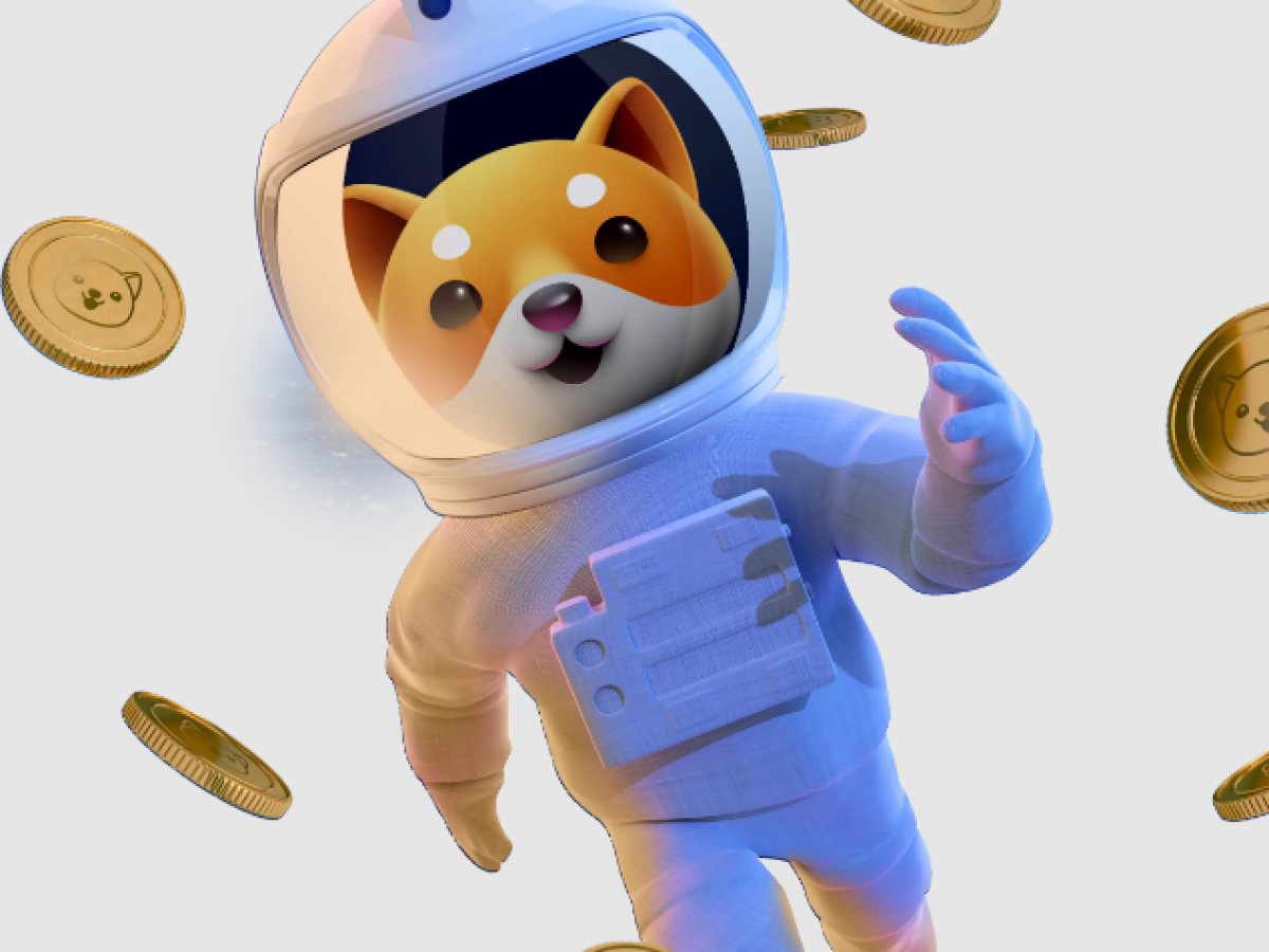 Baby doge: saiba tudo sobre esta criptomoeda - B2U Educação
